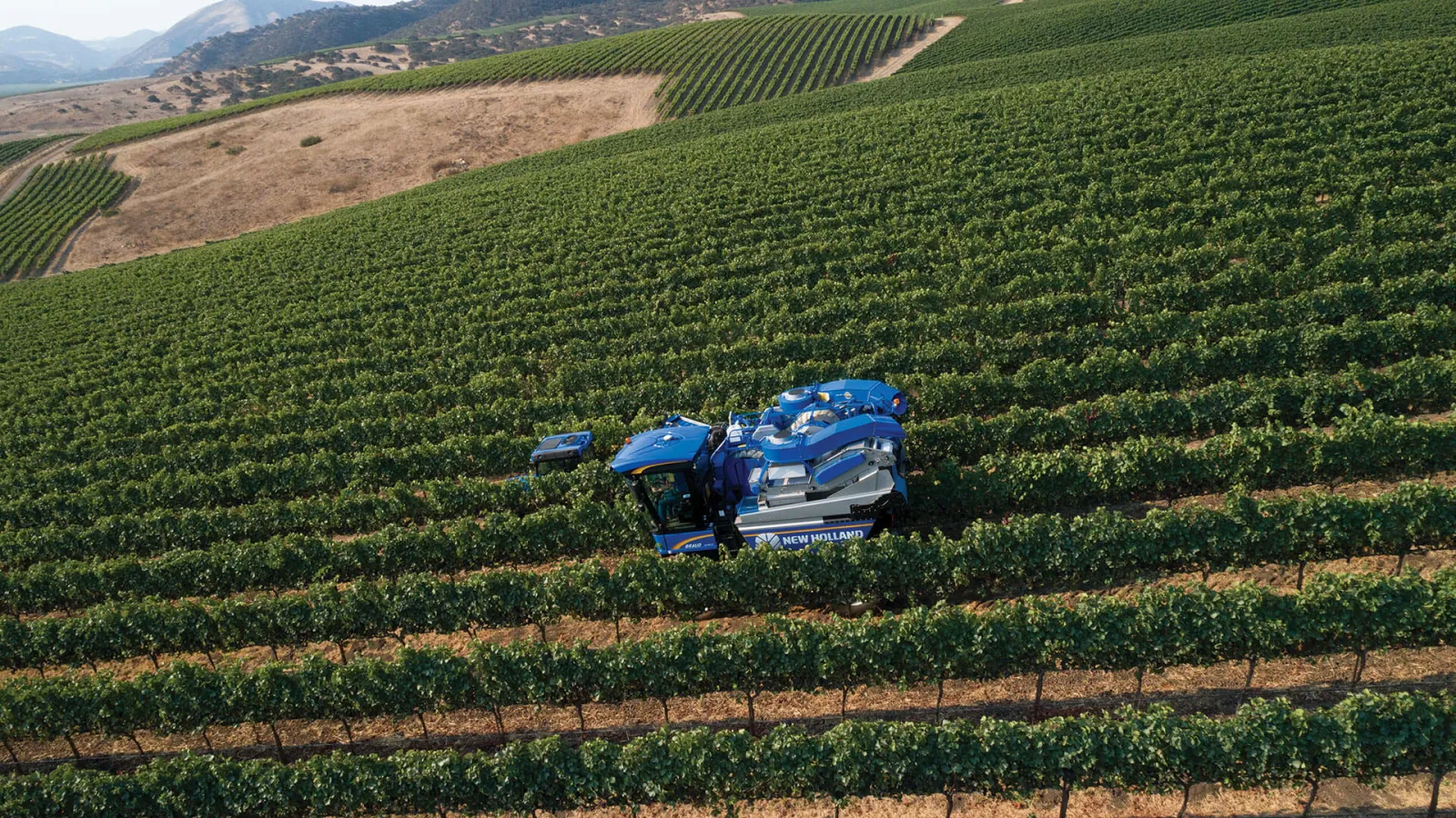 Representative New Holland Braud grape harvesters working vineyard rows
